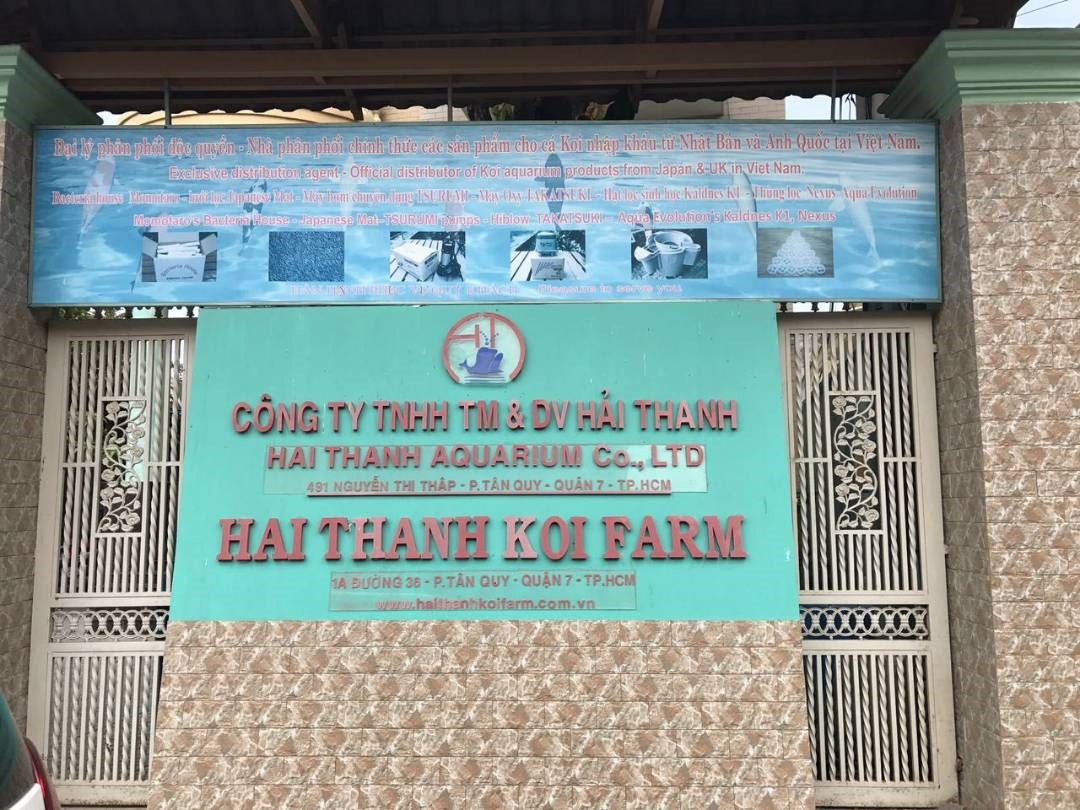 Hai Thanh Koi Farm